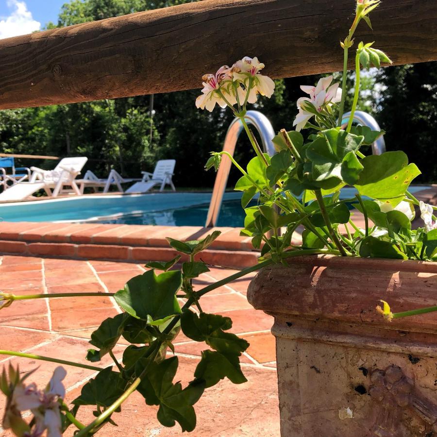 Villa Magda Тоди Екстериор снимка